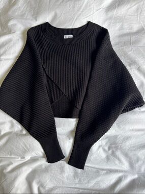 Blank Black Ribbed Cropped Crewneck Sweater with Statement  Sleeves